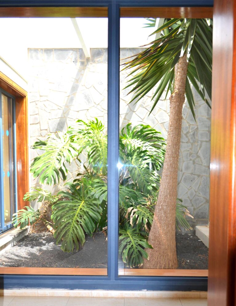 SUN GROVE -JARDIN INTERIOR 2